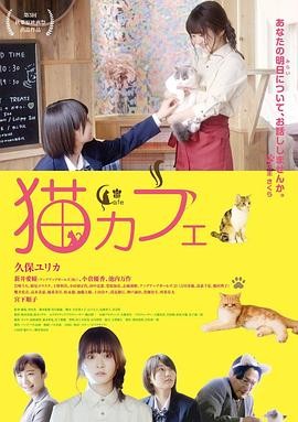 猫咪咖啡厅 猫カフェ