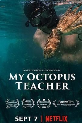 我的章鱼老师 My Octopus Teacher