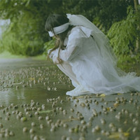青菜