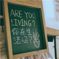 枫