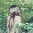 树下的猫